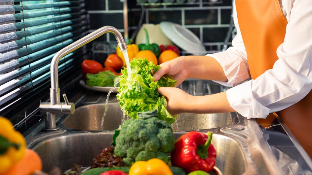Higiene y Manipulación de Alimentos